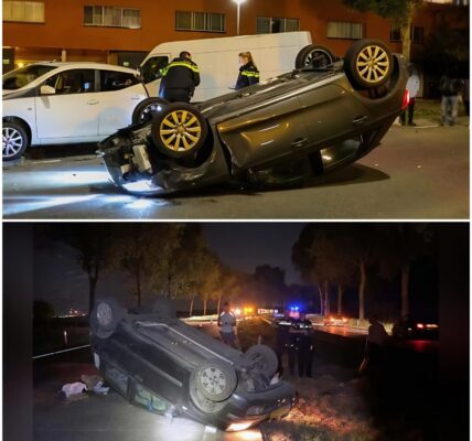 Nachtelijke ravage in Prins Alexander: automobiliste ramt meerdere voertuigen en slaat over de kop