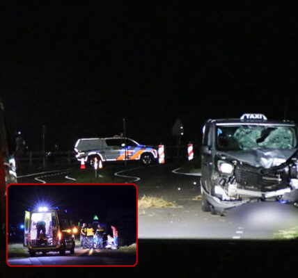 Fietser (50) uit België komt om het leven bij ernstig ongeval met taxibusje op Texel 's nachts