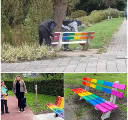 Regenboogbankje in Limburg vernield: ‘Niet onze kinderen verzouwen!’ – Discussie over tolerantie laait opnieuw op