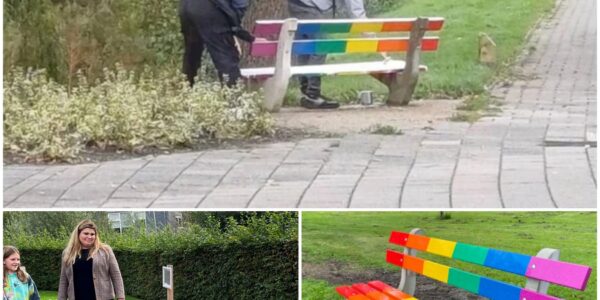 Regenboogbankje in Limburg vernield: ‘Niet onze kinderen verzouwen!’ – Discussie over tolerantie laait opnieuw op