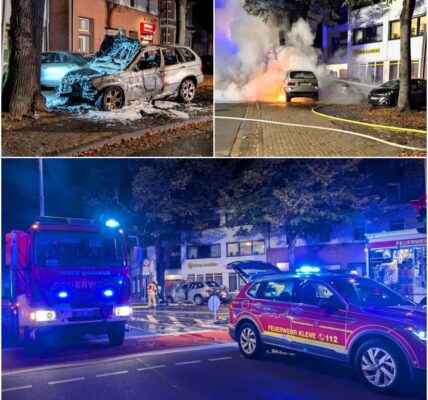 Fahrer fluchtet aus brennendem Auto nach Crash gegen Baum – Polizei sucht Zeugen