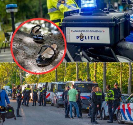 Massale zoekactie naar verdwenen zusjes (6 en 9) in Eelderwolde: ‘Tijd dringt