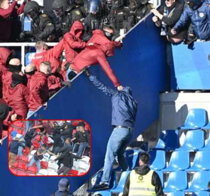 Schock nach dem Abpfiff: Gewalt-Eskalation im Wildparkstadion – mehrere Polizisten schwer verletzt