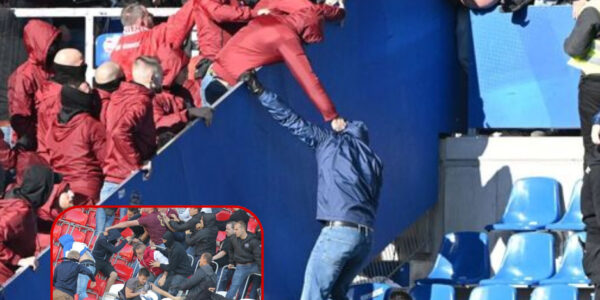 Schock nach dem Abpfiff: Gewalt-Eskalation im Wildparkstadion – mehrere Polizisten schwer verletzt