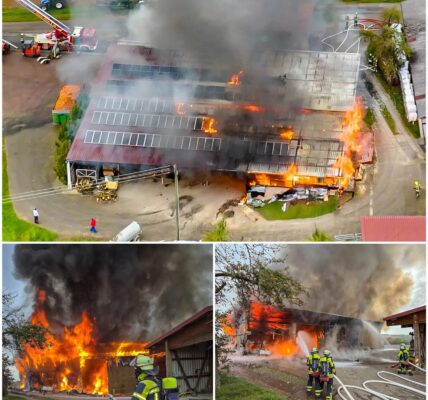 Großbrand auf landwirtschaftlichem Anwesen in Affalterbach – Werkzeughalle vollständig niedergebrannt