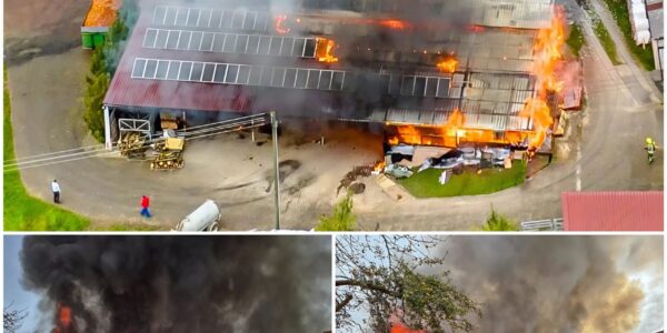 Großbrand auf landwirtschaftlichem Anwesen in Affalterbach – Werkzeughalle vollständig niedergebrannt