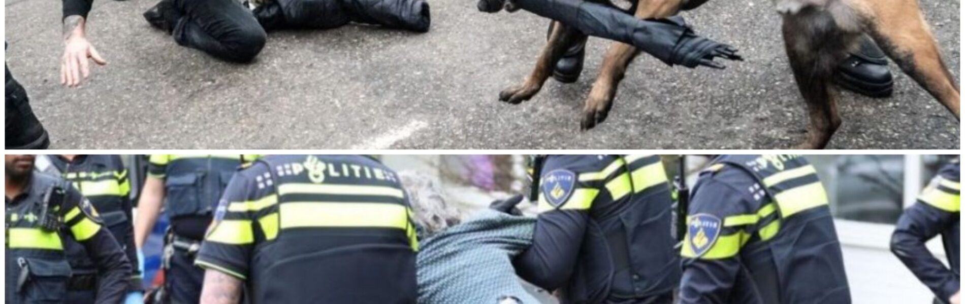 Wat vinden jullie van dit optreden van de politie?