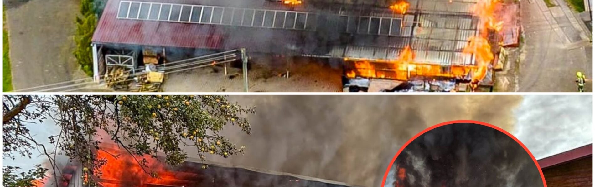 Feuer-Inferno im Kreis Ludwigsburg! Riesige Werkzeughalle steht in Flammen – Explosionen befürchtet, Feuerwehr kämpft stundenlang! 😱🔥