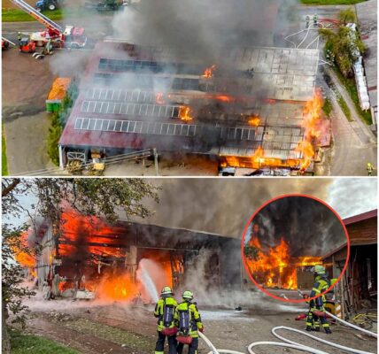 Feuer-Inferno im Kreis Ludwigsburg! Riesige Werkzeughalle steht in Flammen – Explosionen befürchtet, Feuerwehr kämpft stundenlang! 😱🔥