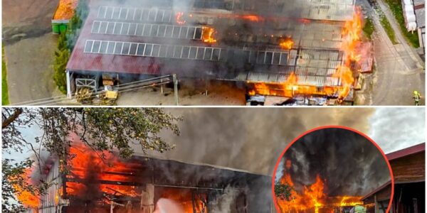 Feuer-Inferno im Kreis Ludwigsburg! Riesige Werkzeughalle steht in Flammen – Explosionen befürchtet, Feuerwehr kämpft stundenlang! 😱🔥