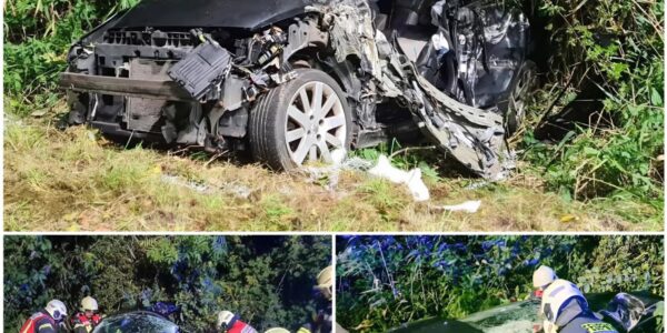 💔 Tödlicher Unfall bei Wittmund – 35-Jähriger stirbt nach Kollision mit Baum, Beifahrerin überlebt