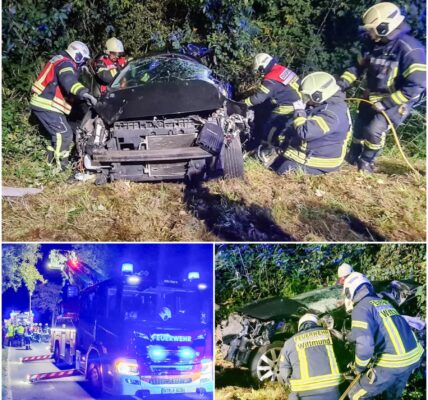 Horror-Crash in Wittmund: Auto prallt gegen Baum – Fahrer stirbt, Beifahrerin überlebt wie durch ein Wunder! 😱