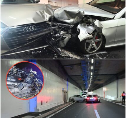 Drama im Rosenbergtunnel St. Gallen: Massencrash auf der A1 – Tunnel komplett gesperrt!