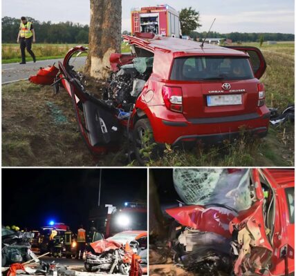 Tödlicher Baumcrash bei Wittmund: 35-jähriger Fahrer stirbt noch an der Unfallstelle – Beifahrerin überlebt schwer geschockt 🙏🏽‼️