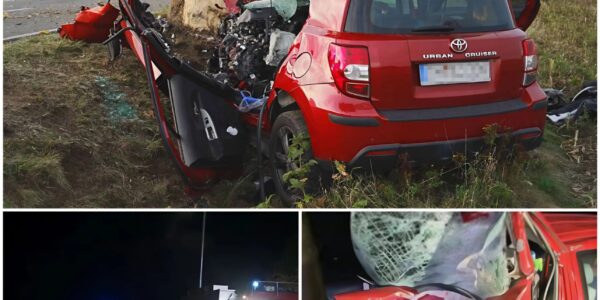 Tödlicher Baumcrash bei Wittmund: 35-jähriger Fahrer stirbt noch an der Unfallstelle – Beifahrerin überlebt schwer geschockt 🙏🏽‼️