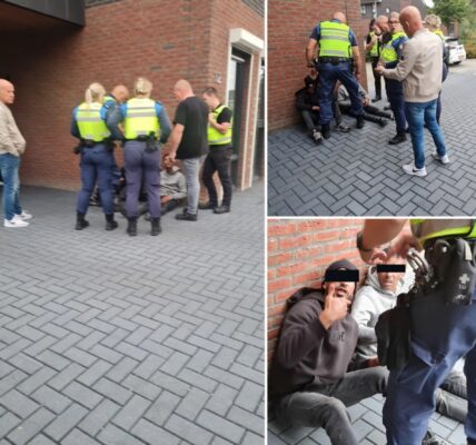 Inbrekers dachten makkelijk weg te komen – maar rekenden niet op de buren van Ter Apel