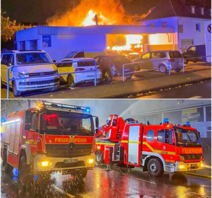Inferno in Mulheim! Autowerkstatt steht lichterloh – Flammenmeer zwingt Anwohner in die Flucht‼️🔥