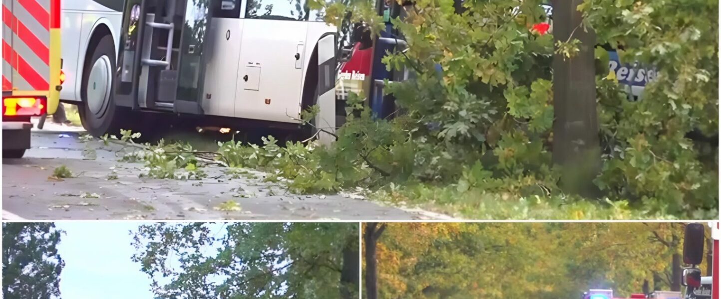 Tragödie in Westerstede: Schulkind von Bus erfasst – Fahrer kracht in Baum! Polizei schockiert uber Unfallhergang 💔