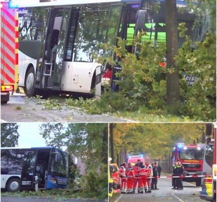 Tragödie in Westerstede: Schulkind von Bus erfasst – Fahrer kracht in Baum! Polizei schockiert uber Unfallhergang 💔