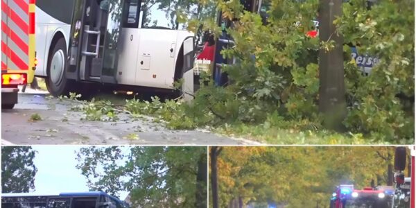 Tragödie in Westerstede: Schulkind von Bus erfasst – Fahrer kracht in Baum! Polizei schockiert uber Unfallhergang 💔