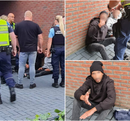 Inbrekers opgejaagd en overmeesterd door buurtbewoners in Ter Apel: “Ze dachten te ontsnappen, maar rekenden niet op ons”