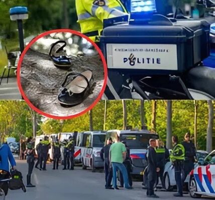 Massale zoekactie naar verdwenen zusjes (6 en 9) in Eelderwolde: ‘Tijd dringt