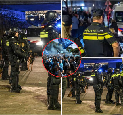 Massale arrestatie in Eindhoven vlak voor PSV–Napoli: politie grijpt hard in tegen Italiaanse fans om nieuwe rellen te voorkomen