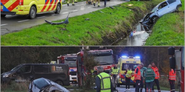 Auto total loss, levens verwoest: Jonge man sterft ter plekke in De Wilgen 👇