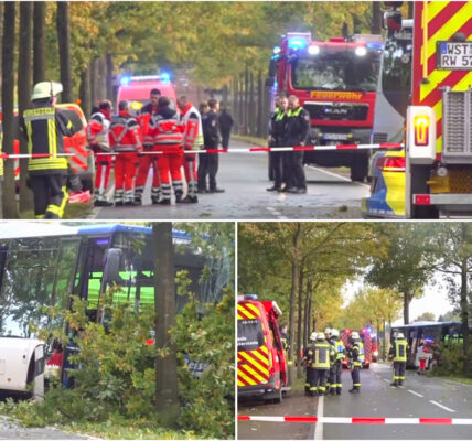 Tragödie in Westerstede: Elfjähriges Kind stirbt nach Busunfall – Fahrer und Zeugen unter Schock