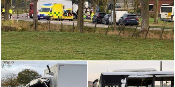 Vijf mensen naar ziekenhuis na zware aanrijding tussen lijnbus en vrachtwagen in Ieper
