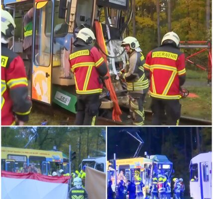 Schweres Straßenbahnunglück bei Berlin: Frontalzusammenstoß erschüttert Rüdersdorf