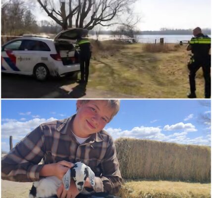 Onvoorstelbaar drama in Utah: tienerondernemer Kevin Cooper (14) verdrinkt – familie en volgers in shock 🙏🏽