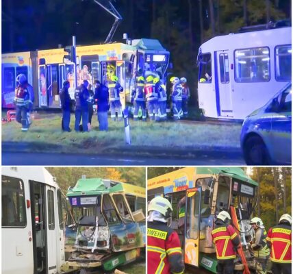 Frontalzusammenstoß bei Rüdersdorf: Straßenbahnunfall schockiert Brandenburg – Fahrerin über eine Stunde eingeklemmt