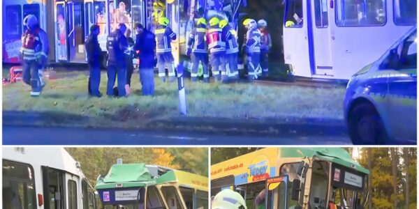 Frontalzusammenstoß bei Rüdersdorf: Straßenbahnunfall schockiert Brandenburg – Fahrerin über eine Stunde eingeklemmt