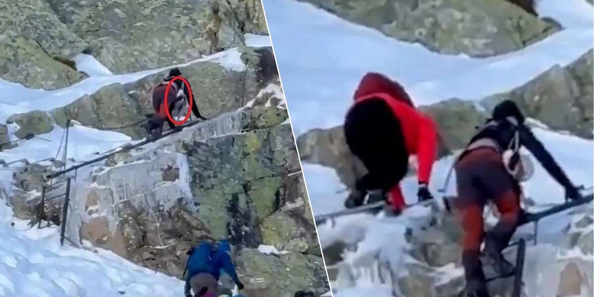 Roekeloos of gewoon dom? Koppel beklimt met baby van 9 maanden ijskoude berg van 2.500 meter en raakt vast! 👇