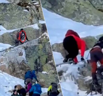 Roekeloos of gewoon dom? Koppel beklimt met baby van 9 maanden ijskoude berg van 2.500 meter en raakt vast! 👇