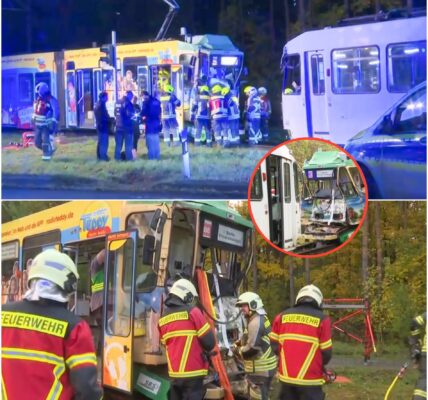 Horror-Crash bei Berlin: Straßenbahnen krachen frontal, Fahrerin eine Stunde lang eingeklemmt 🙏🏽