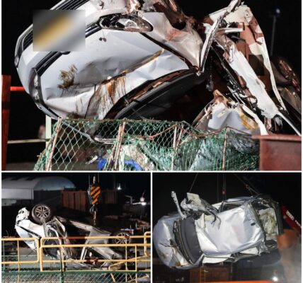 Twee zwaargewonden bij ernstig ongeval in Woudrichem – Auto vliegt van dijk en botst tegen metalen loopbrug