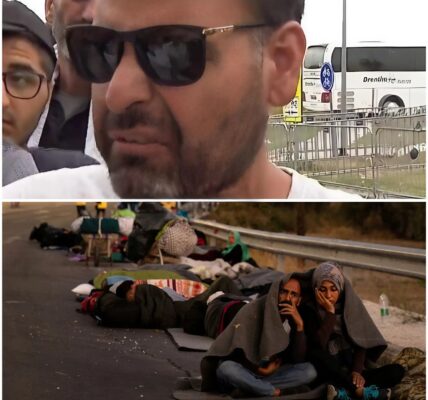 Boze asielzoekers ontevreden in Nederland: ”Zelfs een hond heeft het beter”