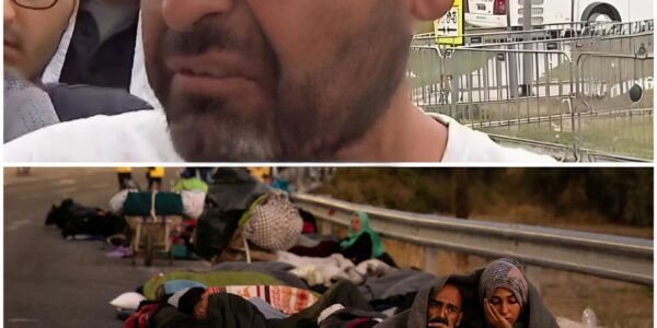 Boze asielzoekers ontevreden in Nederland: ”Zelfs een hond heeft het beter”