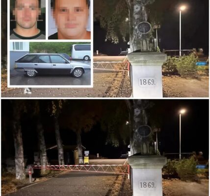 Vermisste Freunde lagen zehn Jahre tot im Stausee