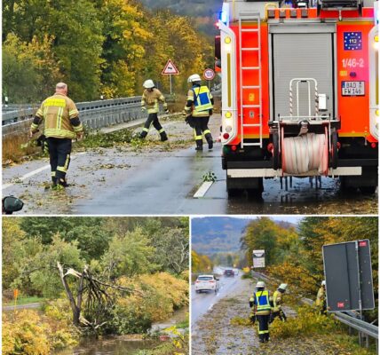 „Chaos im Schwarzwald! Unwetterfront trifft mit voller Wucht – Dächer sturzen ein, Straßen uberflutet, Feuerwehr im Dauereinsatz!“