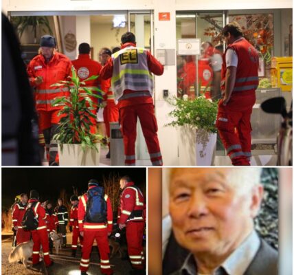 Groß angelegte Suchaktion in Leonding: Vermisste Seniorin aus Pflegeheim wohlbehalten gefunden