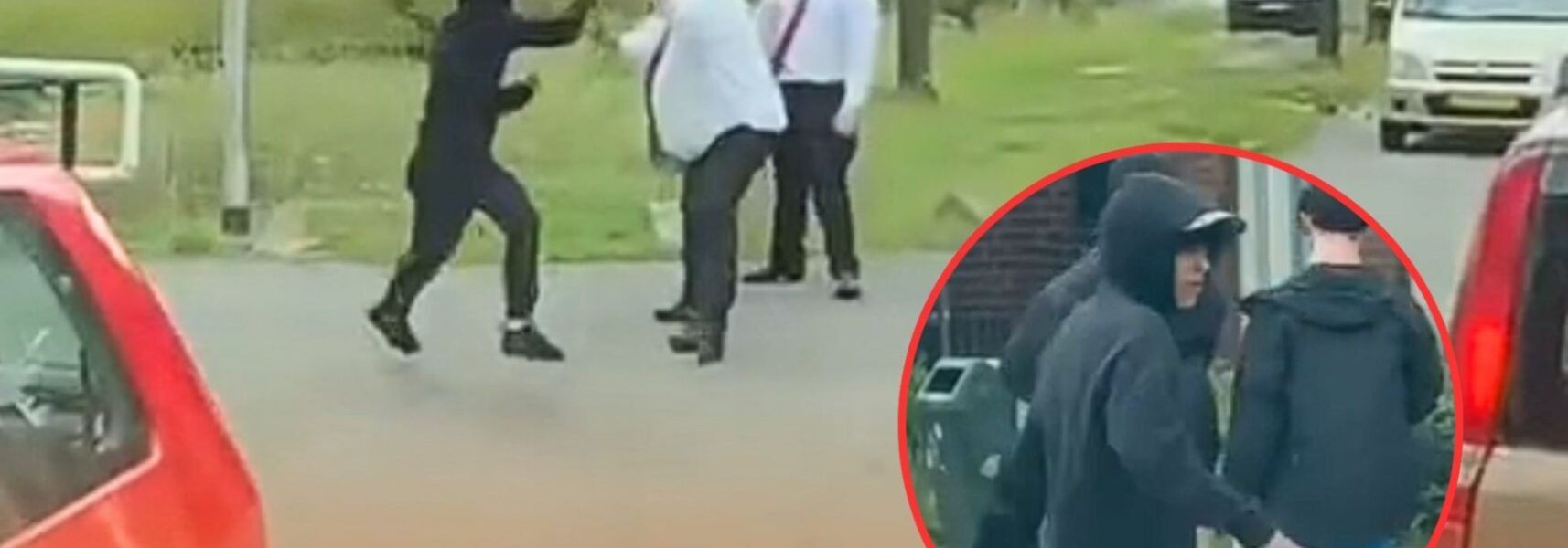 VIDEO: Vluchteling in Ter Apel valt twee boa’s aan – beelden zorgen voor golf van woede en debat in Nederland