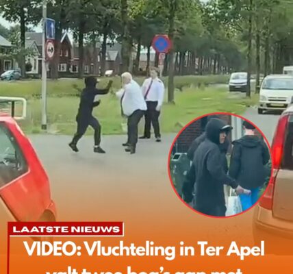 VIDEO: Vluchteling in Ter Apel valt twee boa’s aan – beelden zorgen voor golf van woede en debat in Nederland