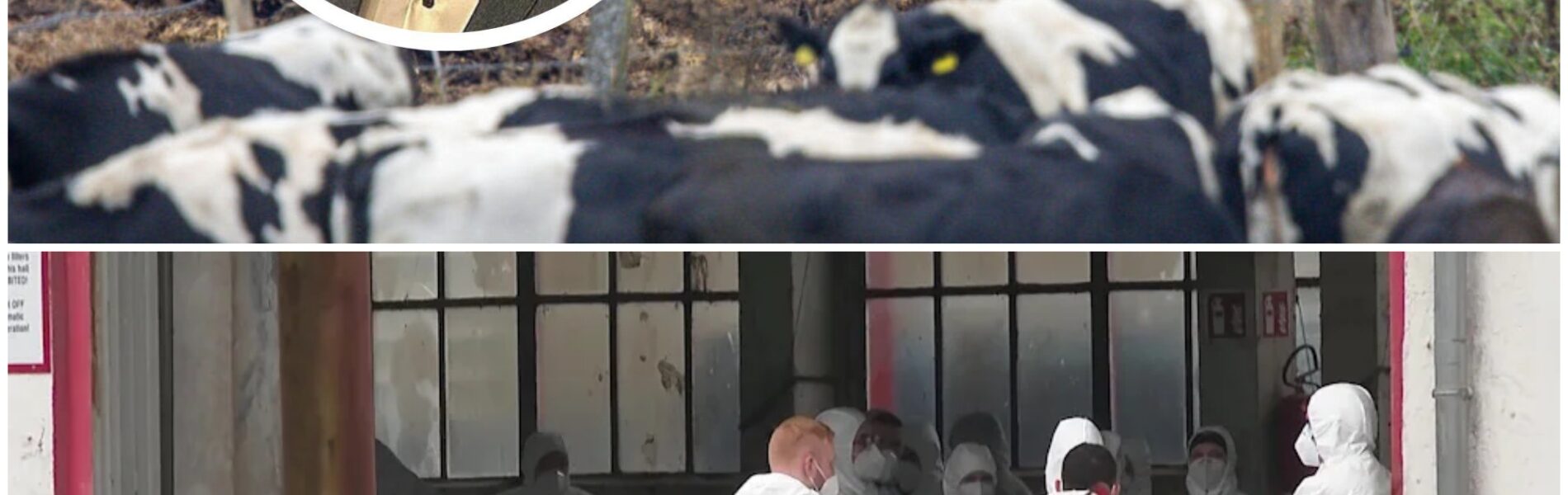 Polizei sucht weiter nach Fabians Mörder – Ermittler durchsuchen Gelände eines Entsorgungsbetriebs