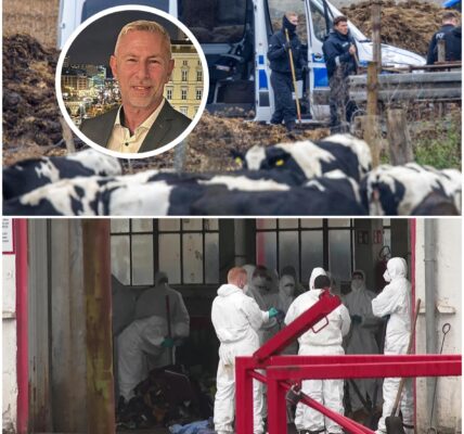 Polizei sucht weiter nach Fabians Mörder – Ermittler durchsuchen Gelände eines Entsorgungsbetriebs