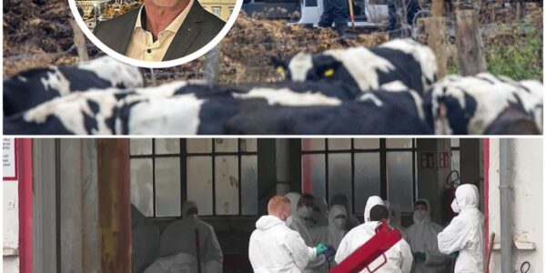 Polizei sucht weiter nach Fabians Mörder – Ermittler durchsuchen Gelände eines Entsorgungsbetriebs