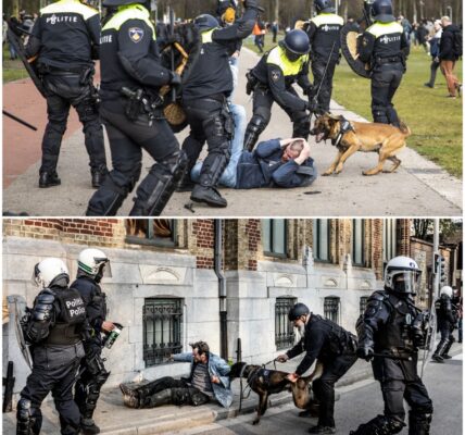 Politiegeweld zorgt voor verontwaardiging: opnieuw debat over machtsmisbruik in Nederland