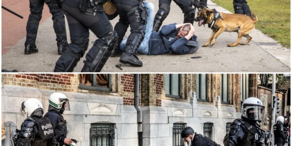 Politiegeweld zorgt voor verontwaardiging: opnieuw debat over machtsmisbruik in Nederland